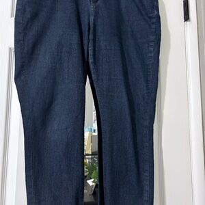 Curvy Skinny Blue Jeans